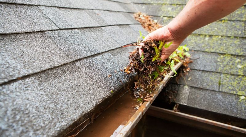 Rain Gutters Wilmington Nc